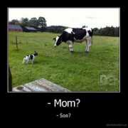 demotivation.us Mom