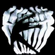 culturekiosque.com Momix
