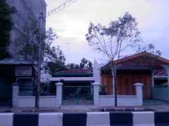 Monang