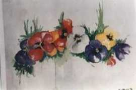 steinhauser.lu Monateri