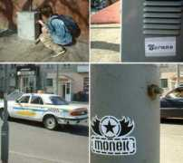 Monek