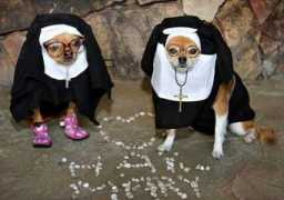 humor12.com Mongas