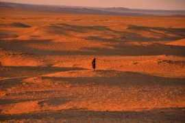 nicomel.my.tripper-tips.com Mongole