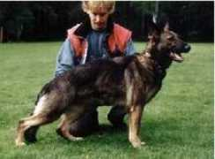 gsd-rabbits.de Monih