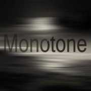 fineartamerica.com Monotone