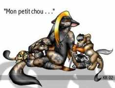 alai-tallon.com Monpetit