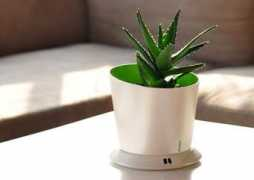 pulse2.com Monpot
