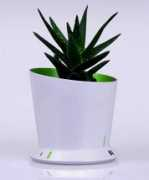 yankodesign.com Monpot