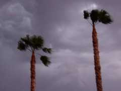 Monsoon