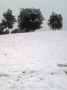Montaa