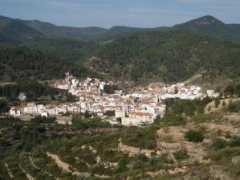 panoramio.com Montan