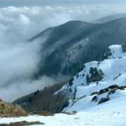 fotonatura.org Montasell