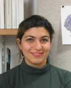 psych.nyu.edu Montaser