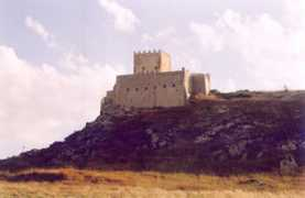 pgrforum.org Montechiaro