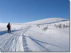 jounisakki.fi Montelli