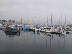 thewwwsite.com Monterey