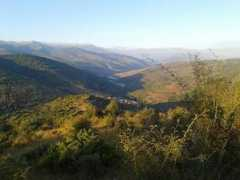 Montes