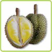 fruitsinfo.com Monthong