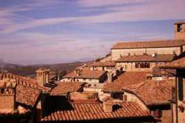 Montone