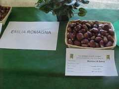 marronicastione.it Monzali