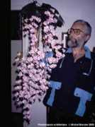 phals.net Monzier