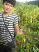Mooday