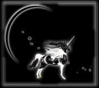 unicornjorge.com Moondancer