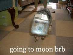 Moonje