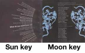 Moonkey