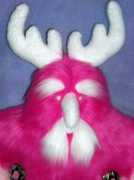 Moonkin