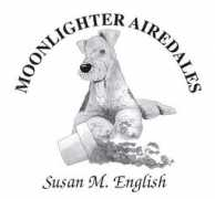 Moonlighter