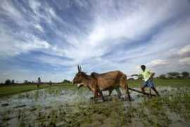 blogs.voanews.com Moonson