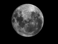 Moonx