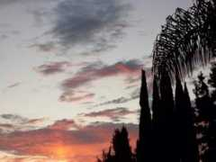 Moorpark