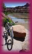 dreambike.com Mooto