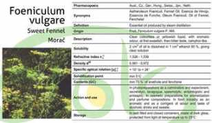 Morac