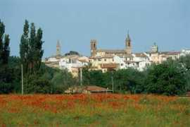 riviera.rimini.it Morciano