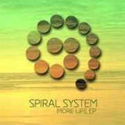 spiralsystem.net Morelife