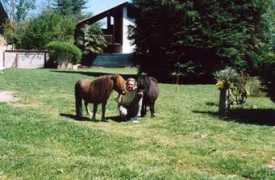 allpepper.it Morellina