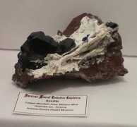 trinityminerals.com Morenc