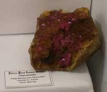 trinityminerals.com Morenc