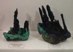 trinityminerals.com Morenc