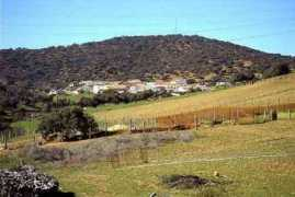 Morenos