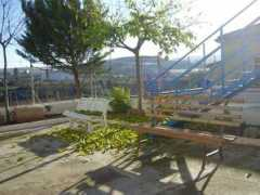Morera