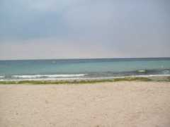 Moreto