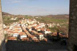 Morgia