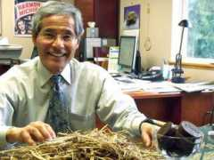 oregonlive.com Morihara