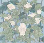 jpn-illust.com Morikazu