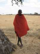 justconservation.org Moringe