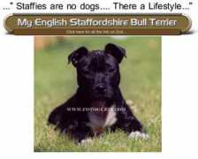 members.chello.nl Mormel